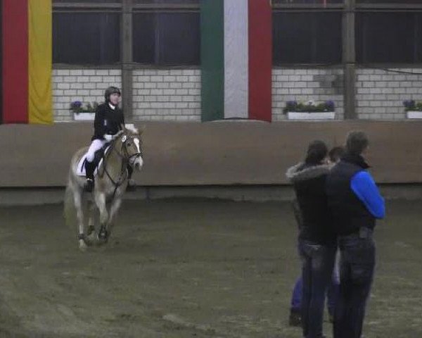 Video of stella-039-ox