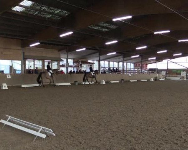 17. Hallen-Reit- und Springturnier Lembeck