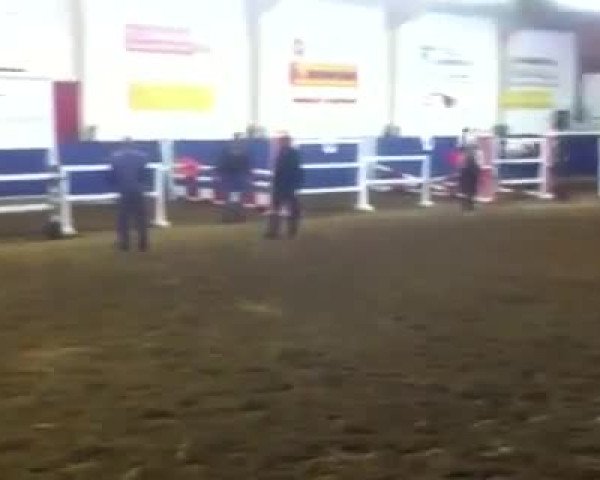 Video of Pfeffer K