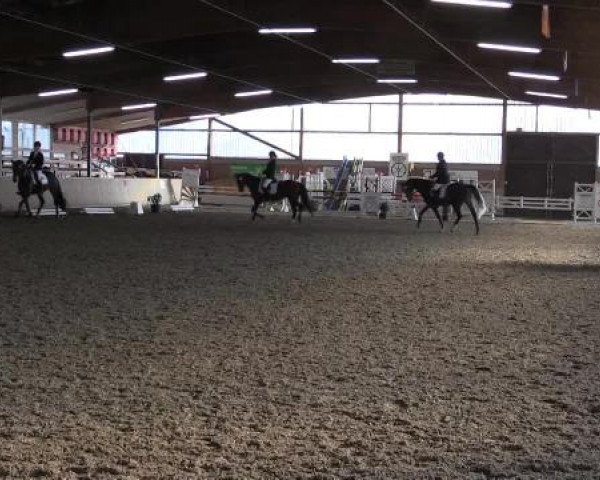 17. Hallen-Reit- und Springturnier Lembeck