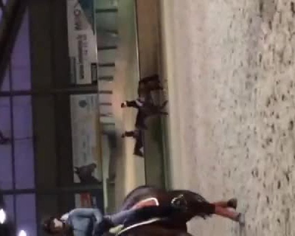 Video von Herzprinz