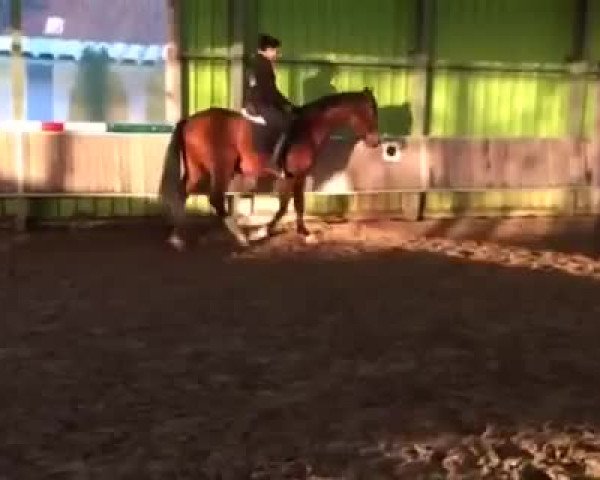 Video of Blaze of fame