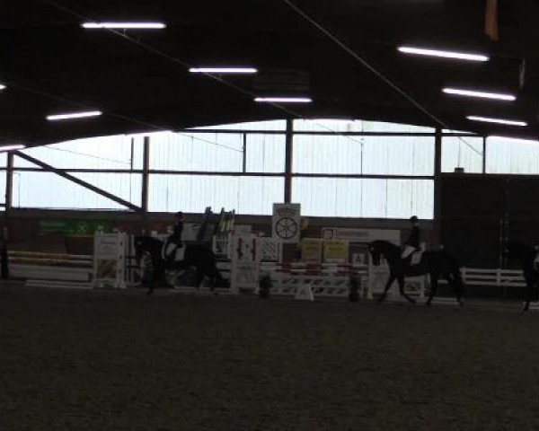 17. Hallen-Reit- und Springturnier Lembeck