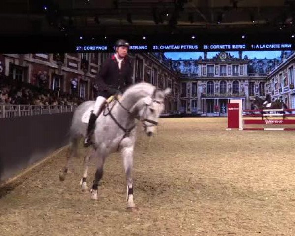 Hengstschau Equitana 2015