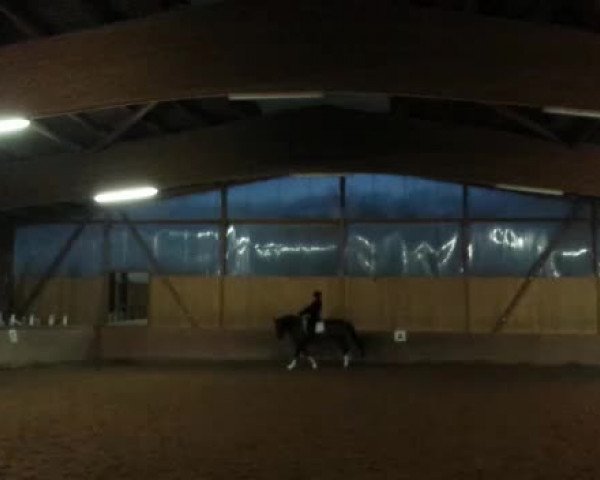 Video of Lilactime