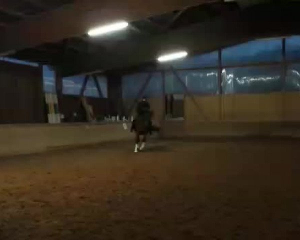 Video of Lilactime