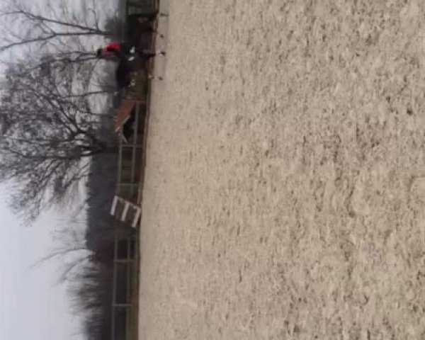 Video of Der Bunte