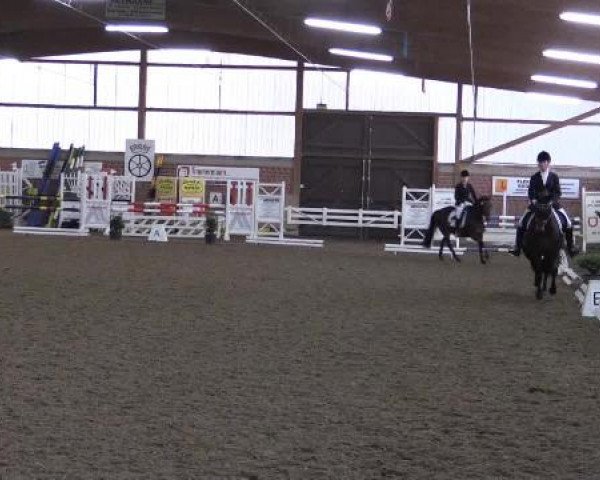 17. Hallen-Reit- und Springturnier Lembeck