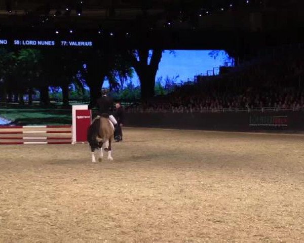 Hengstschau Equitana 2015