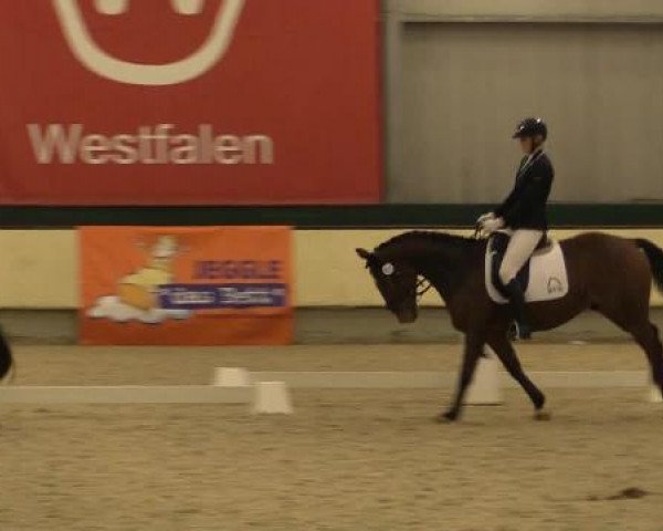 Video von A Little Dream K, Riccio Star, Littelfoot K