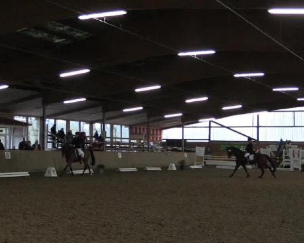 17. Hallen-Reit- und Springturnier Lembeck