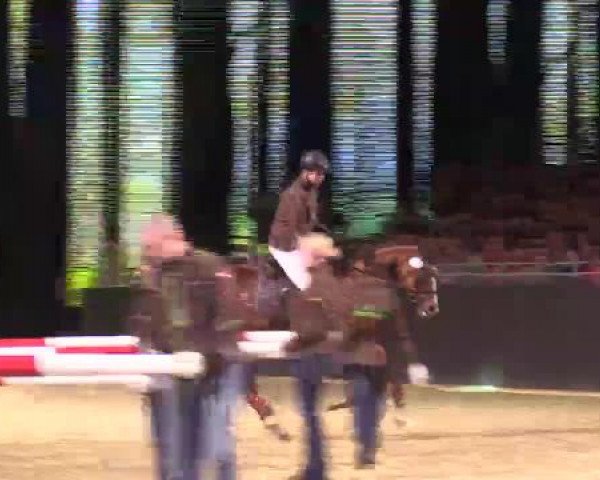 Hengstschau Equitana 2015