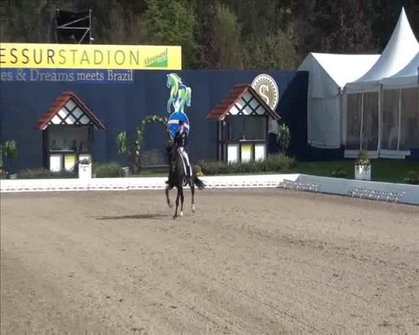 Video von Desperados FRH