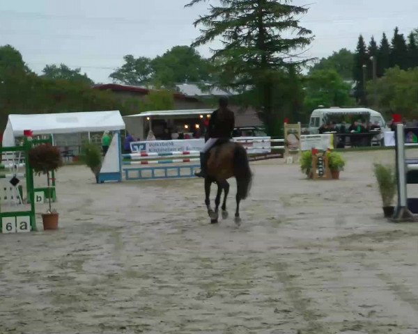 Video of Lugana
