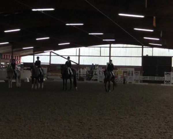17. Hallen-Reit- und Springturnier Lembeck