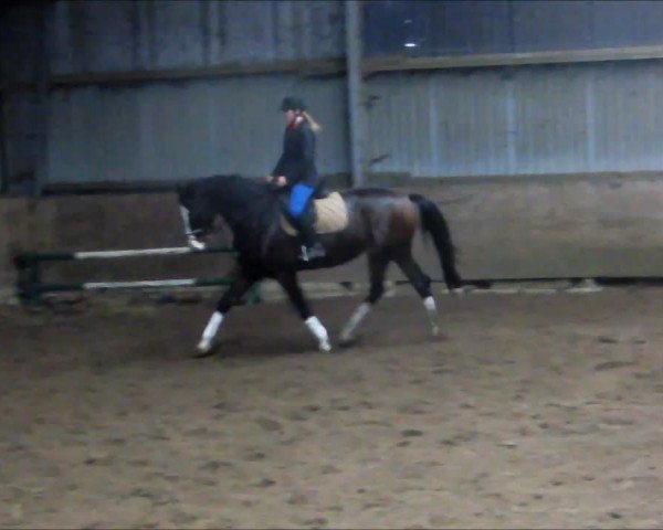 Video of Caipi R.