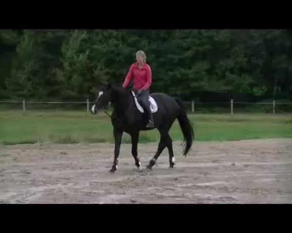 Video of Quintero du Block