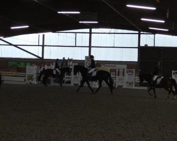 17. Hallen-Reit- und Springturnier Lembeck