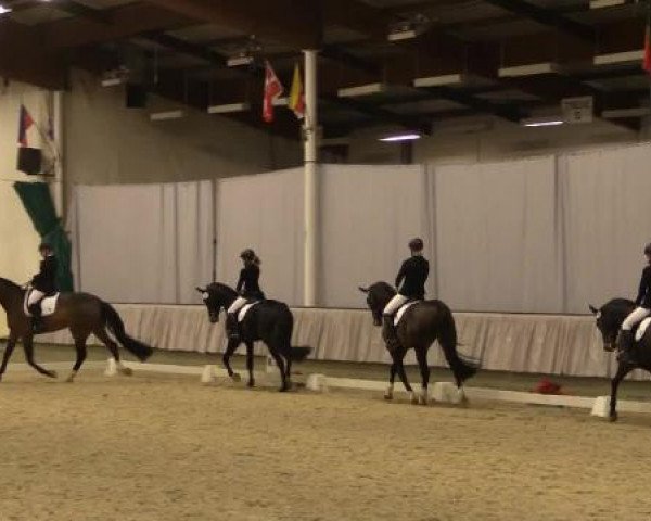 Video of Sambucca 20, Paul G, Leonita 5
