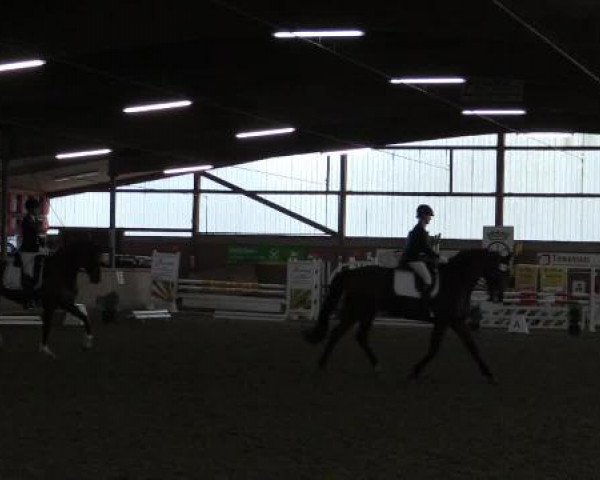 17. Hallen-Reit- und Springturnier Lembeck