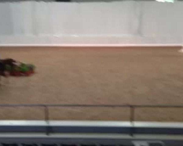 Video von Uljana