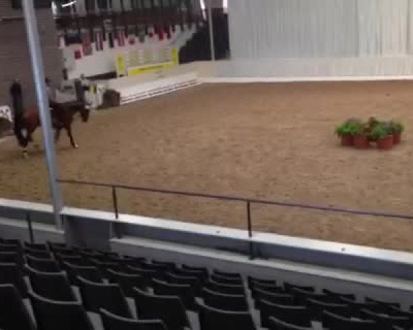 Video von Uljana