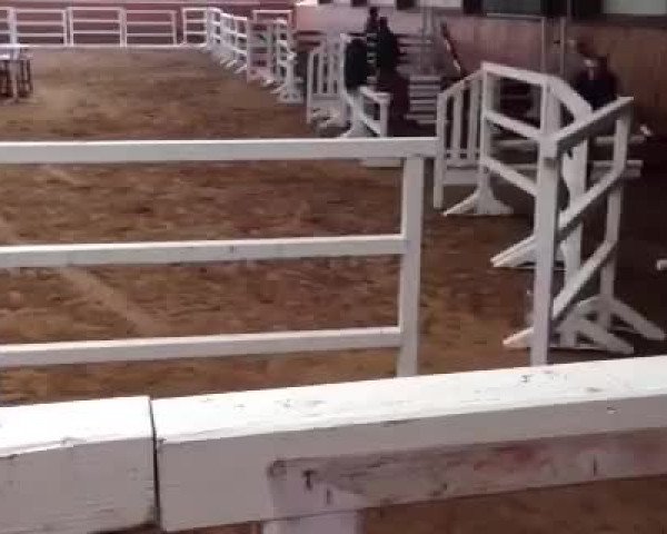 Video von Uljana