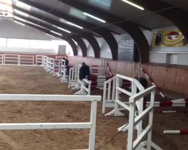 Video von Uljana
