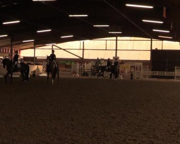 17. Hallen-Reit- und Springturnier Lembeck