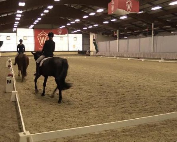 Video of Python G.D., Rufus 96, Rock for Glory