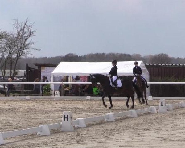 Reitturnier Niedernstöcken 2015