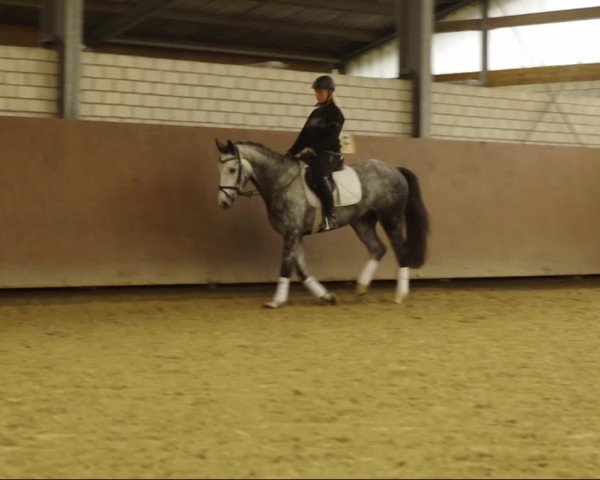 Video of Sambuca Pur