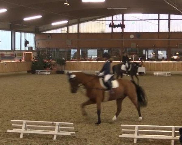 Video von Cebulons l'Amour, Culo Caliente, Diva 508