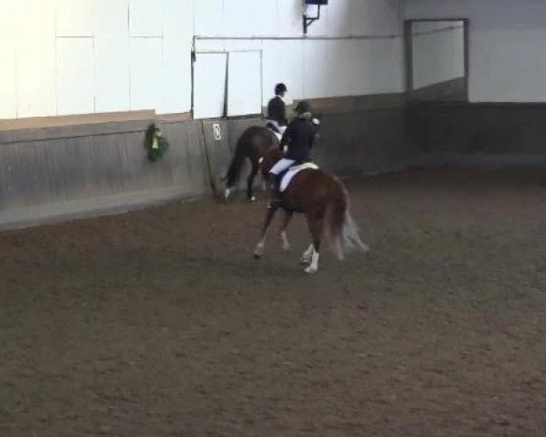 Video of Fame R 2