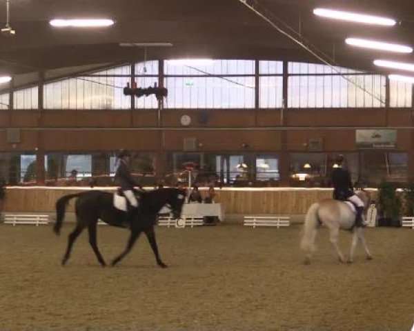 Video of Knutschi, Paula, John Boy
