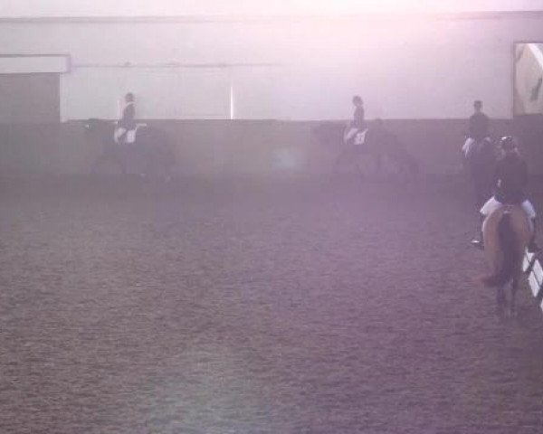 Video of Sarunas