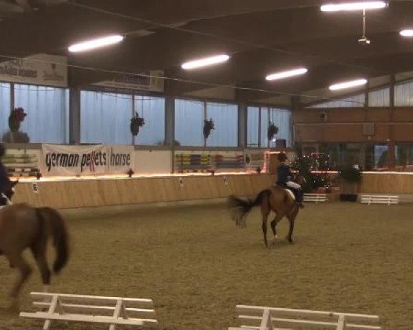 Video von Checkmate, Casimier 3, Culo Caliente