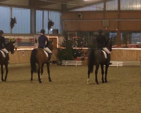 Video von Easy Going 14, Kriga 2, Falkenhof's Linero