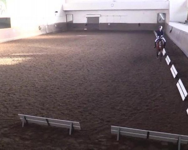 Video of Lassira B