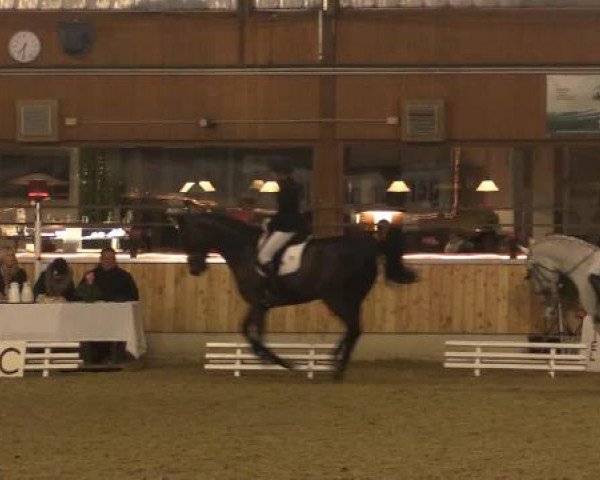 Video von Gideon, Duke Royal 2