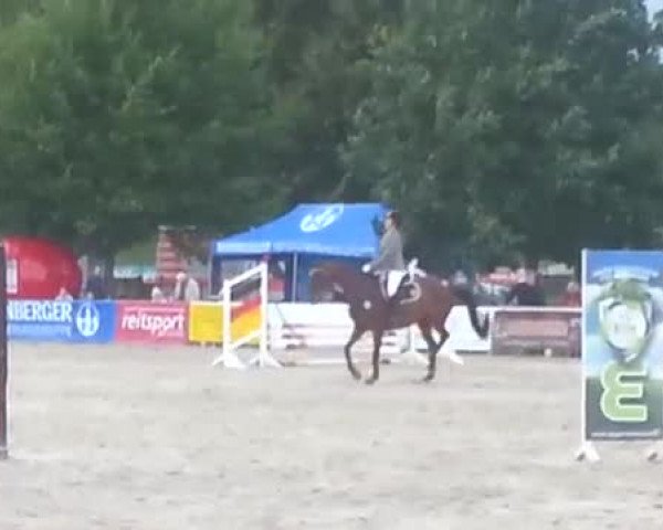 Video von Dulcinea 36