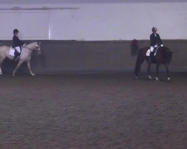 Video of Canturo 7, Caju 3