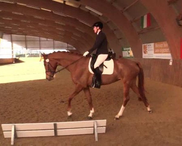 Video of Blaze of fame