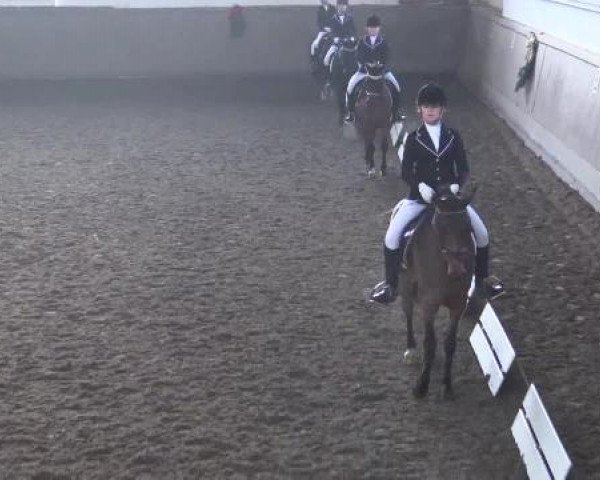 Video of Lindavia Riva, Düwel Dakota