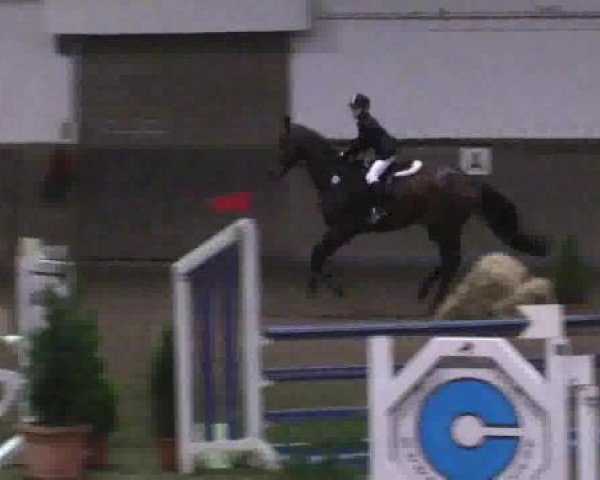 Winterchampionat Essen-Stadtwald 30.11.2014
14 
