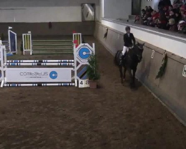 Winterchampionat Essen-Stadtwald 30.11.2014
14