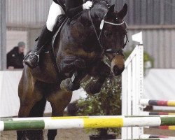 dressage horse Rupina (Westphalian, 2003, from Rockwell)