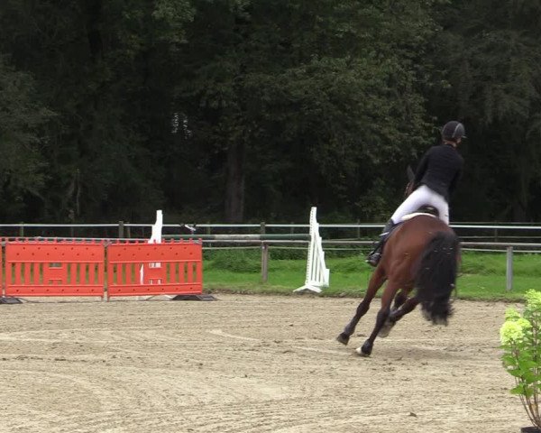 Reitturnier Haltern am See 2021