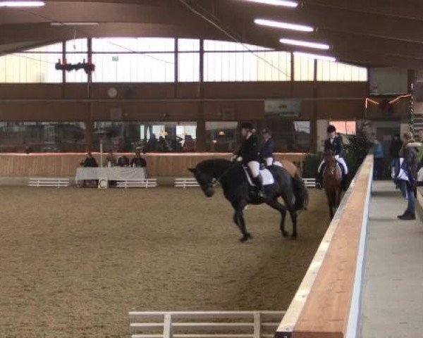 Video of Dandino A, Cisco Sugar Chex