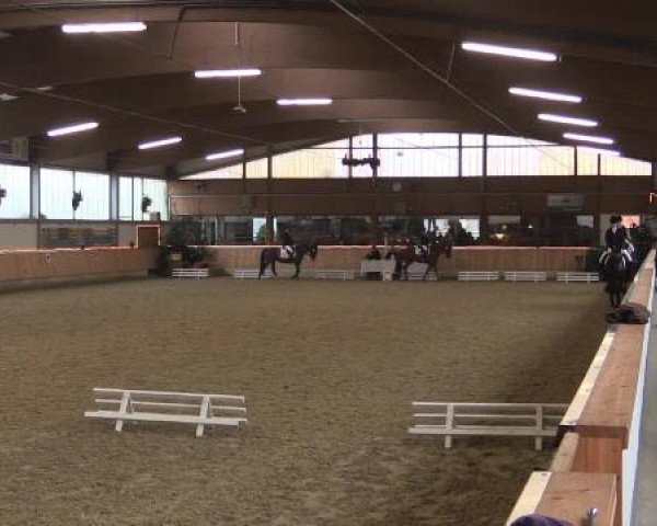 Video von Dream Carina, Lissi 123, Double You R